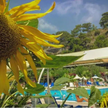 Grand Mir'amor Hotel&spa -